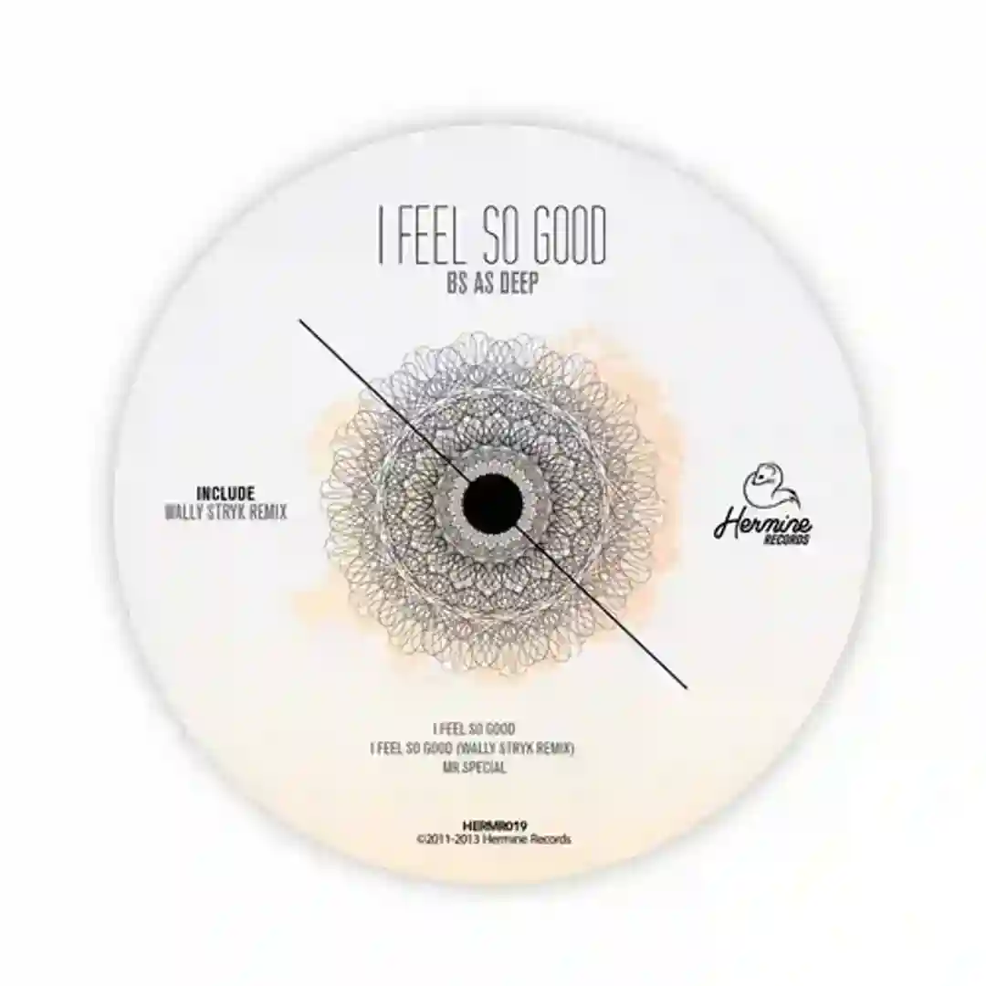 I Feel So Good (Wally Stryk Remix) cover