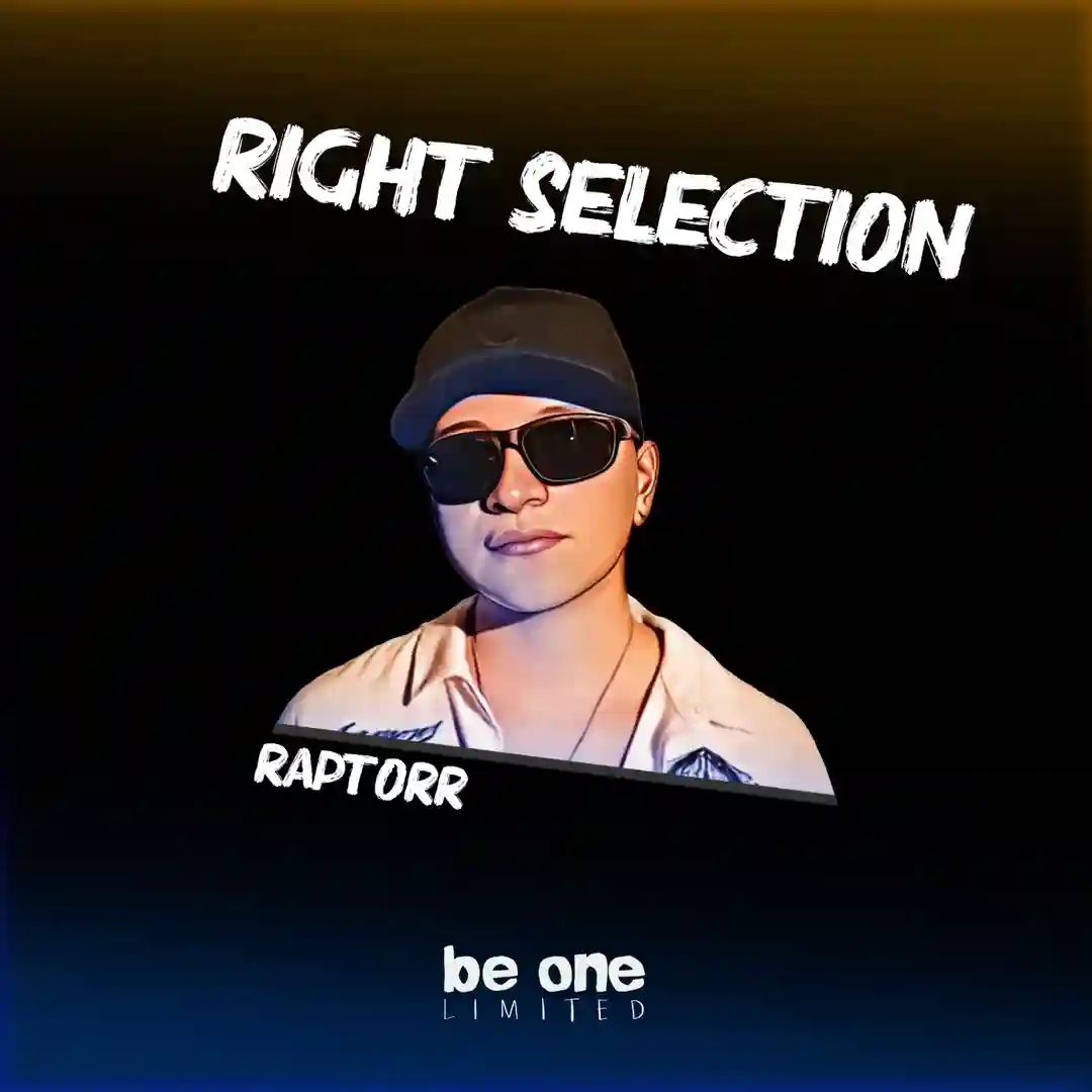 Right Selection (Original Mix) cover