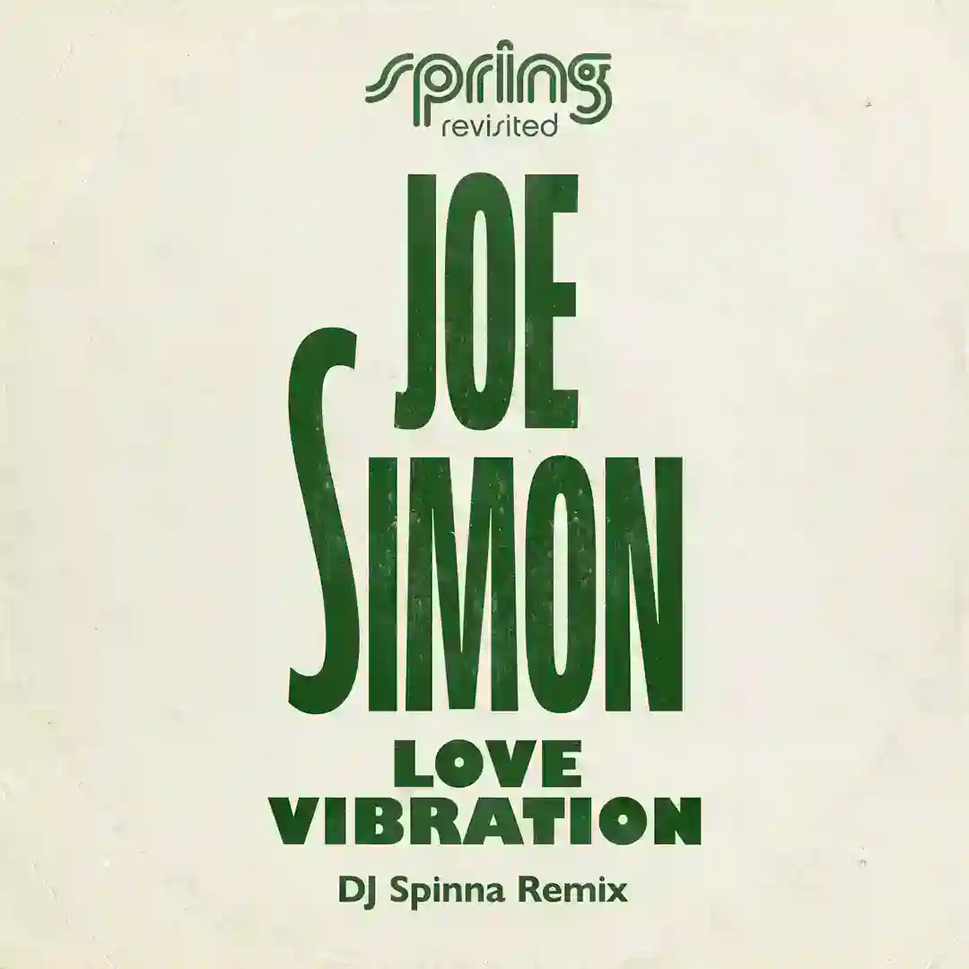 Love Vibration (DJ Spinna Remix Edit) cover