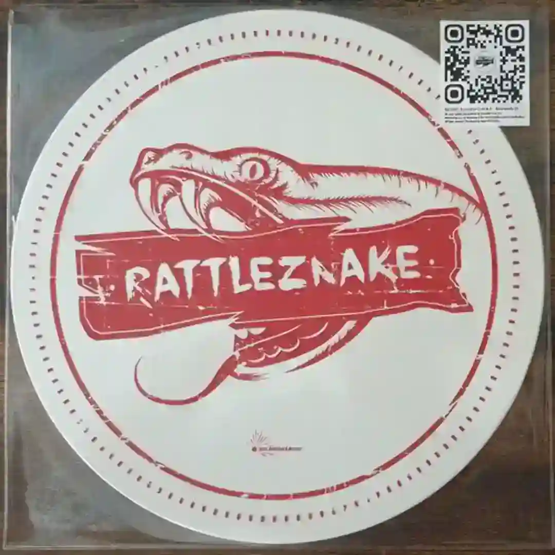 Rotorwerks cover
