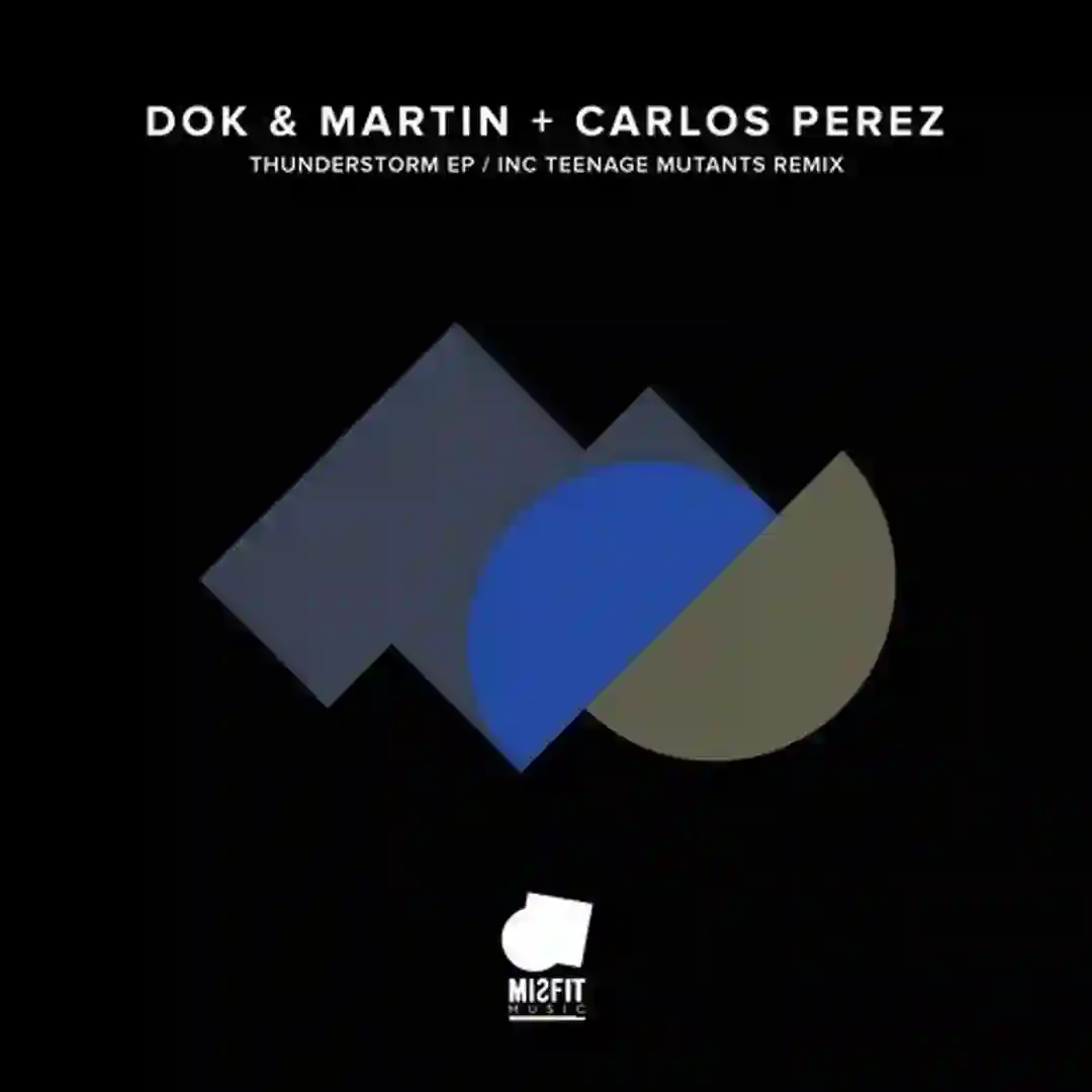 Thunderstorm (Teenage Mutants Remix) cover