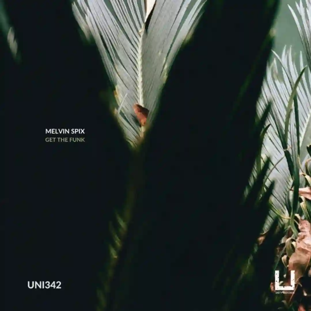Rhythm (Original Mix) cover