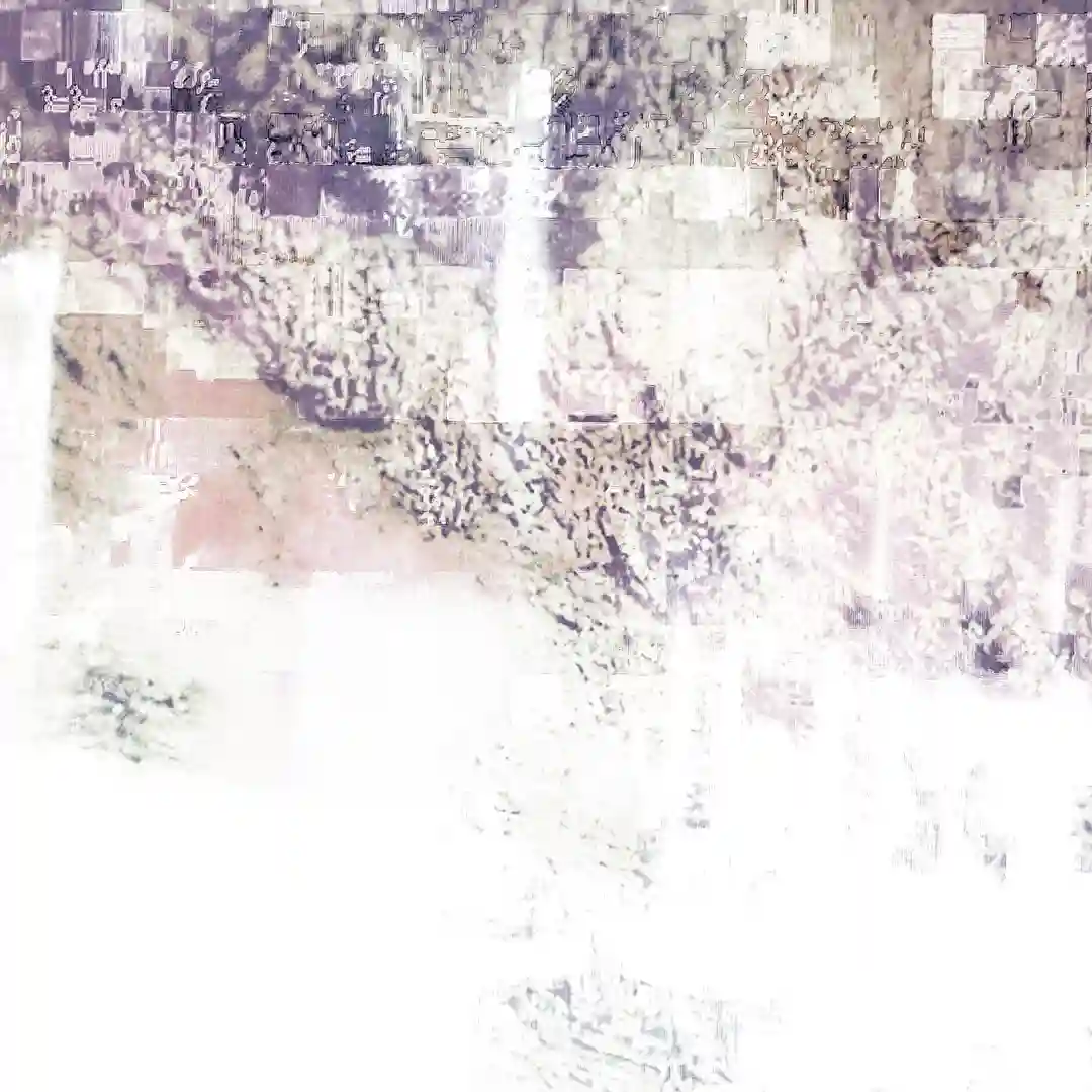 Sonomorph cover