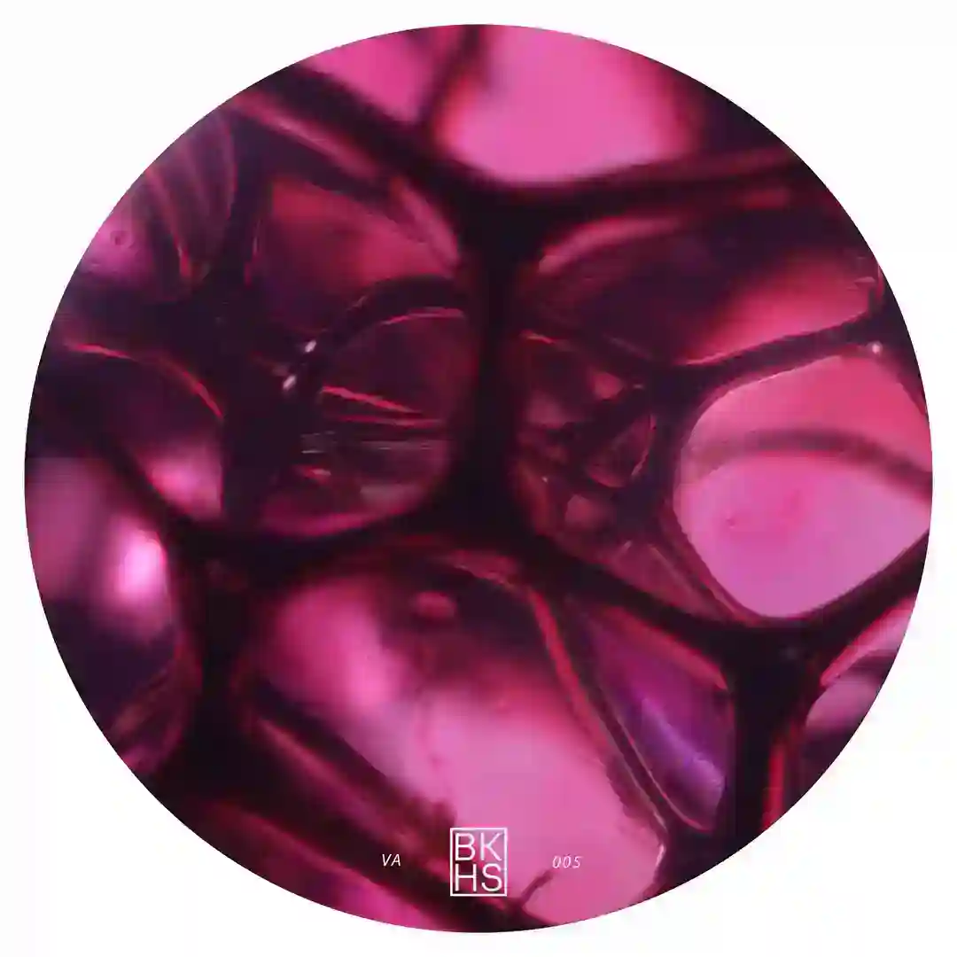 Corium (Original Mix) cover