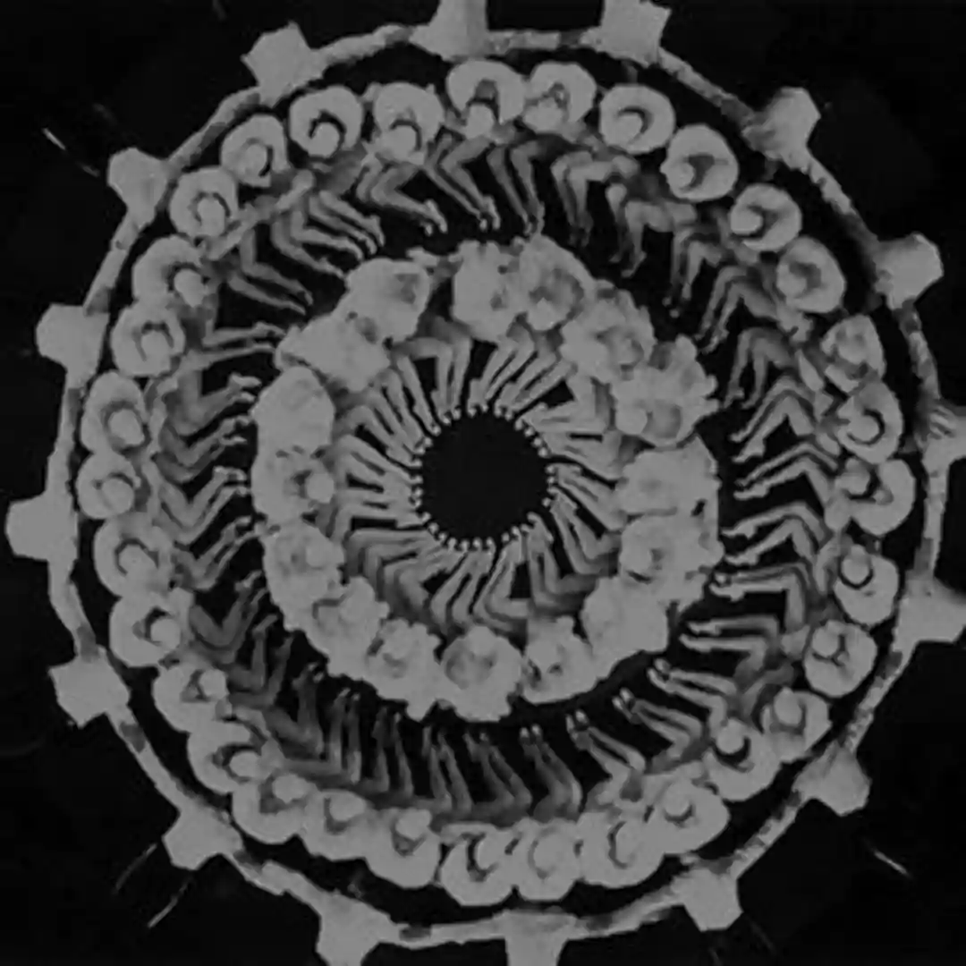 Ritual cover