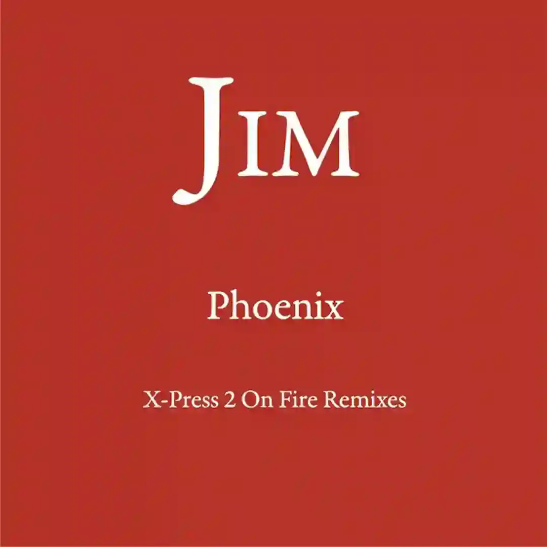 Phoenix (X-Press 2 On Fire Remixes) cover