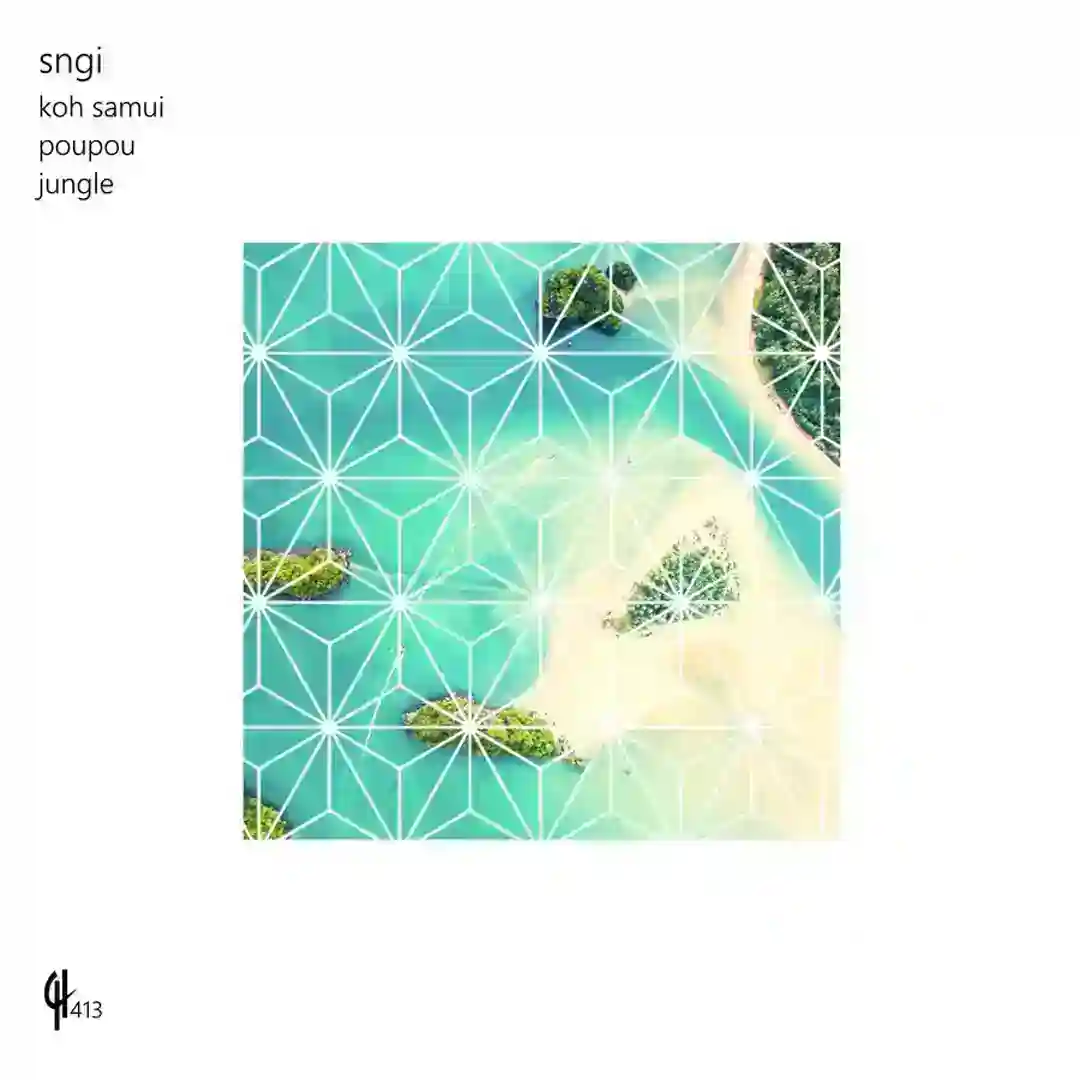 Jungle (Original Mix) cover