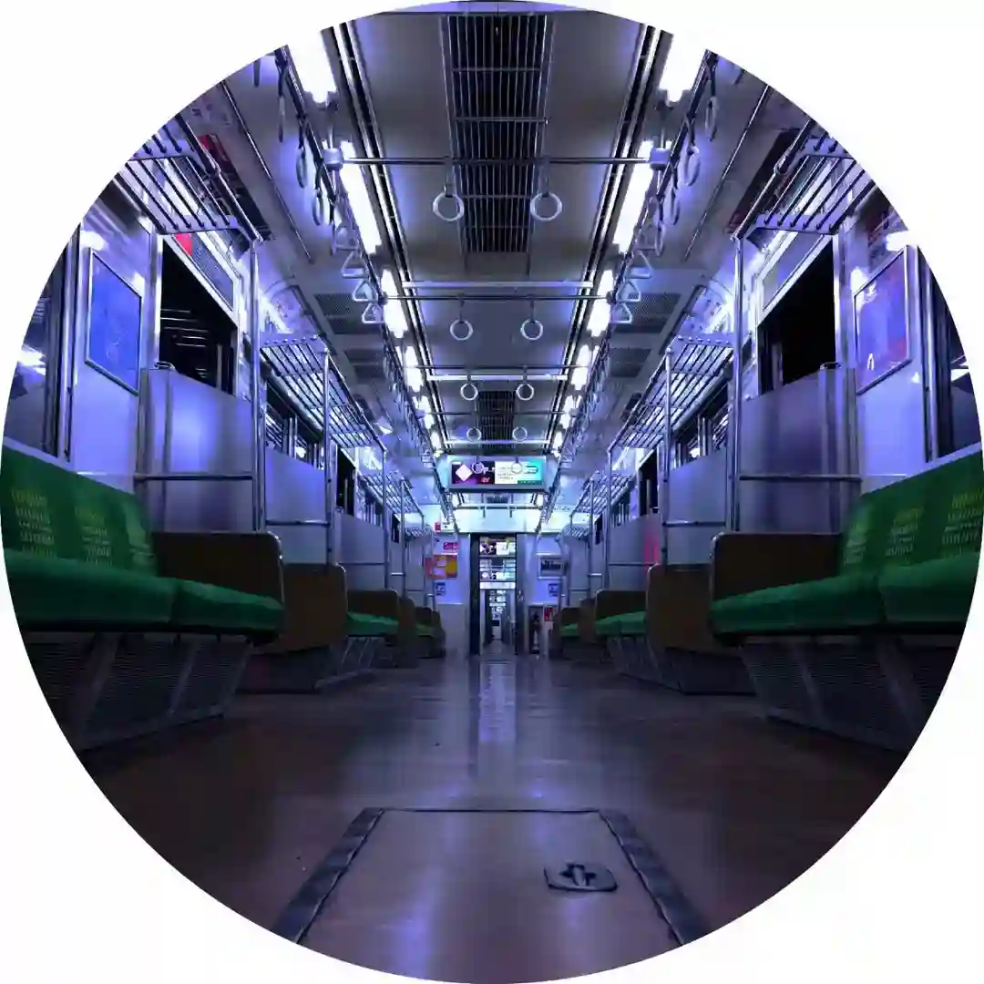 House Train cover