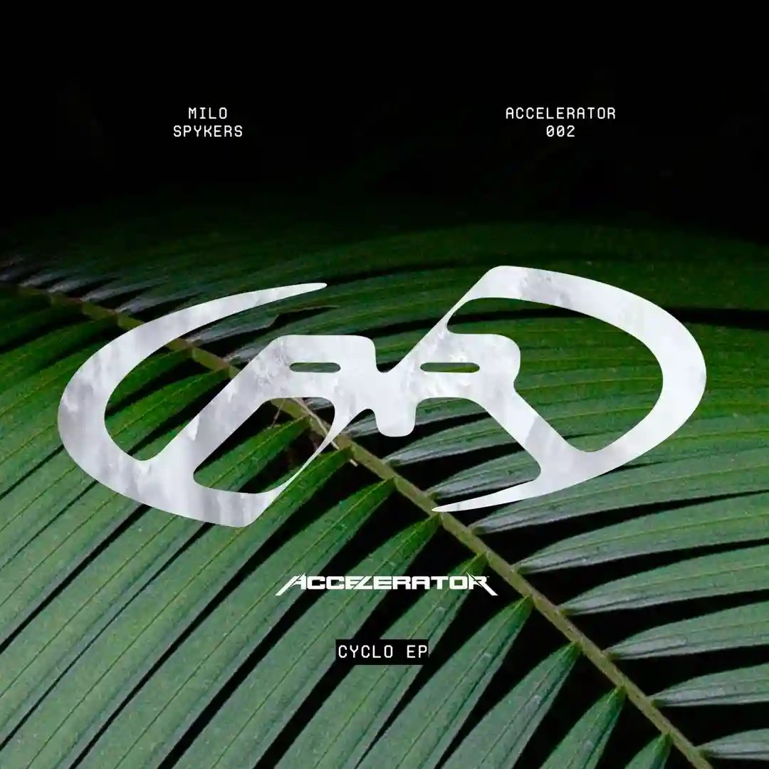 Mackita (Original Mix) cover