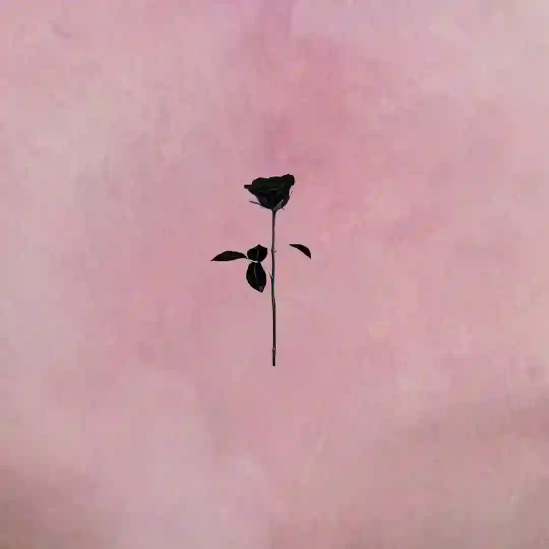Mars (Original Mix) cover