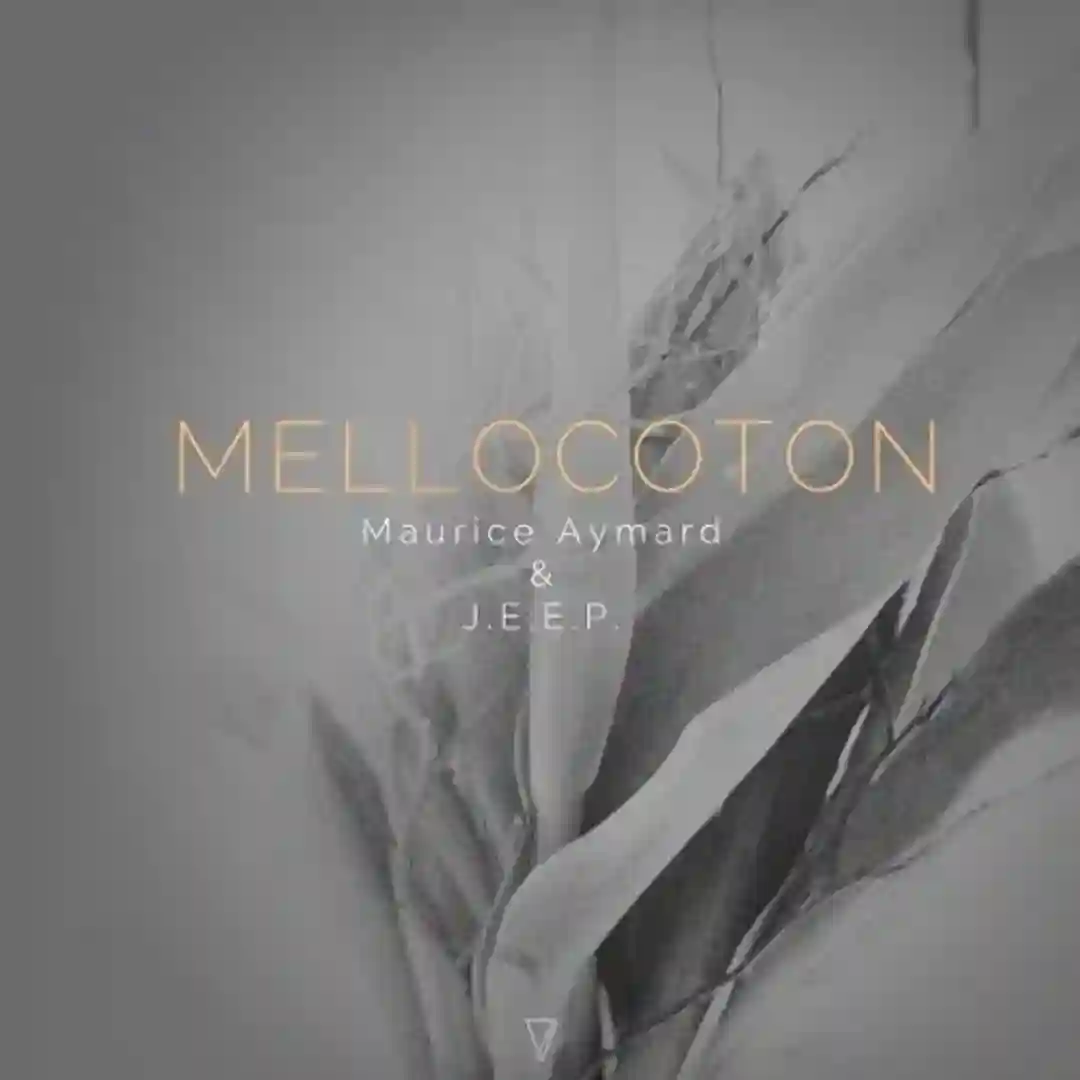 Mellocoton (Original Mix) cover