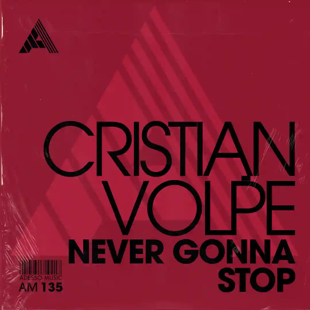 Never Gonna Stop (Extended Mix) cover