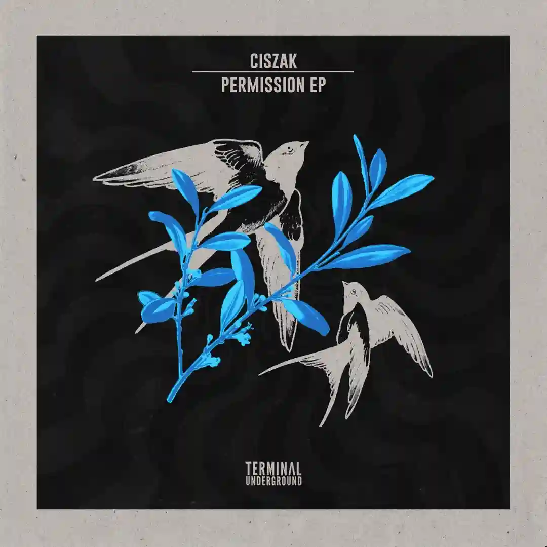 Permission EP cover