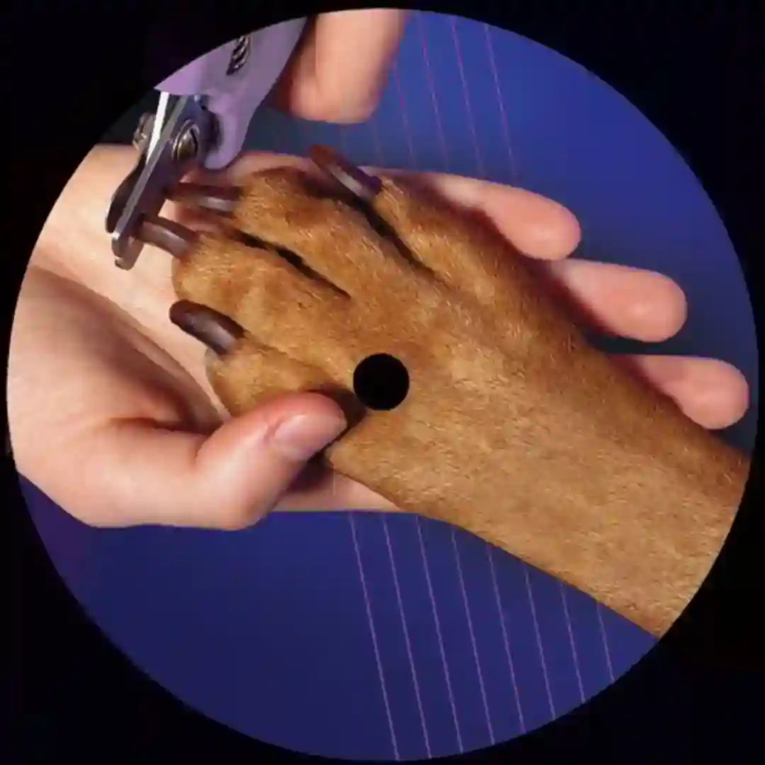 NBM05 (Original Mix) cover