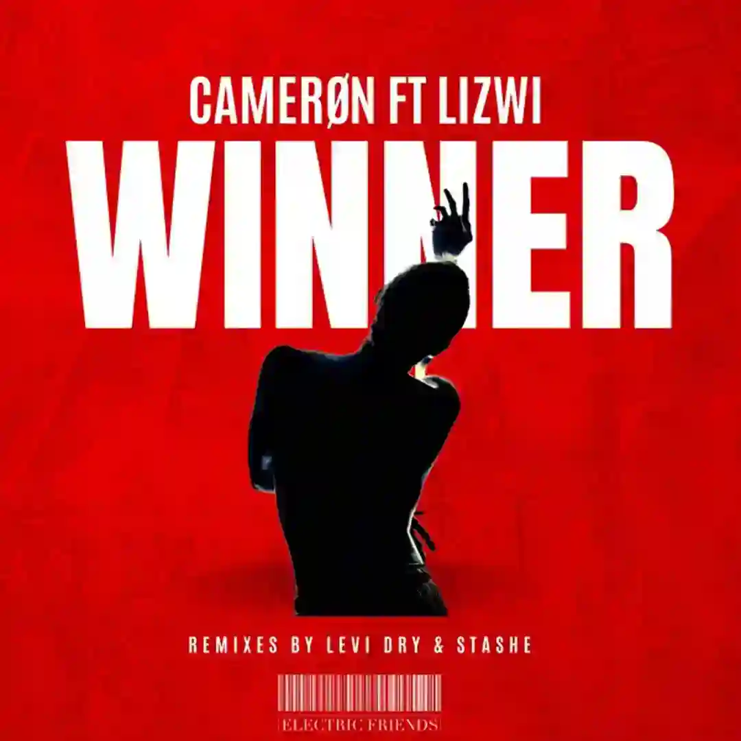 Winner (STASHE Remix) cover