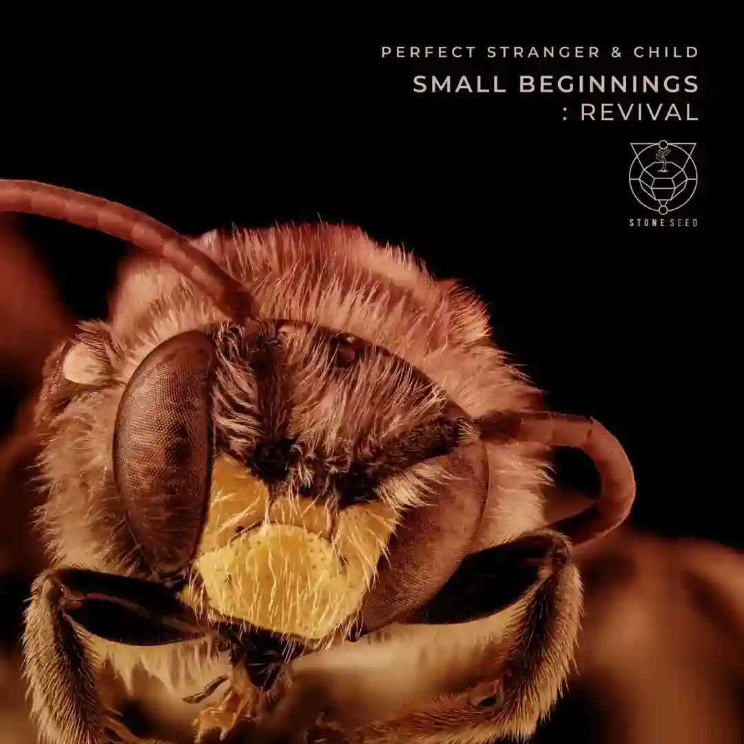 Small Beginnings (John Baptiste & Beneti Remix) cover