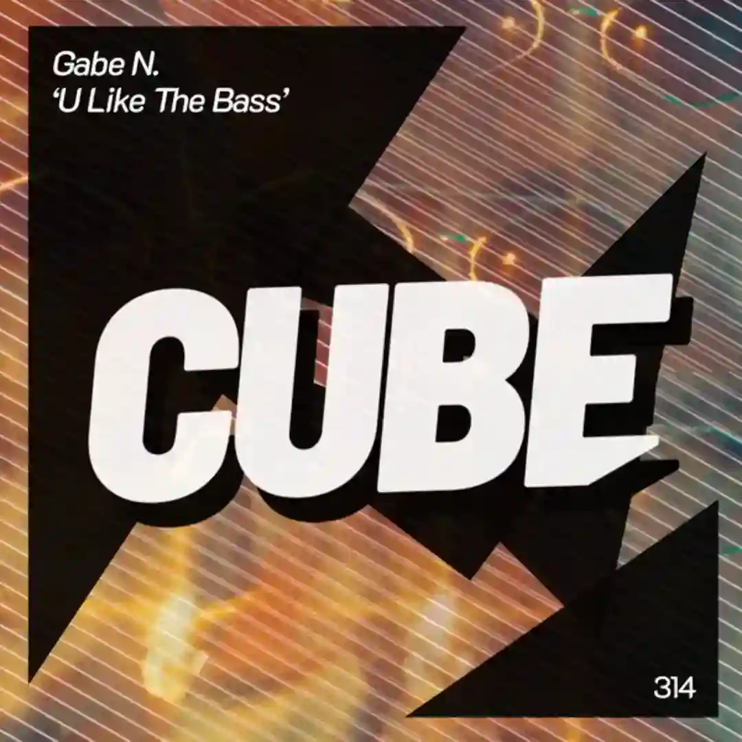 U Like The Bass cover