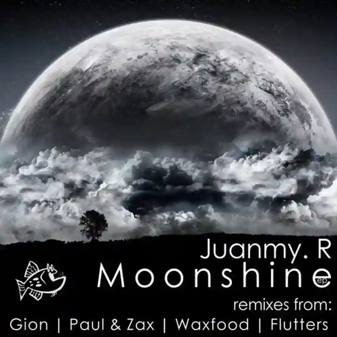 Moonshine (Paul & Zax Remix) cover