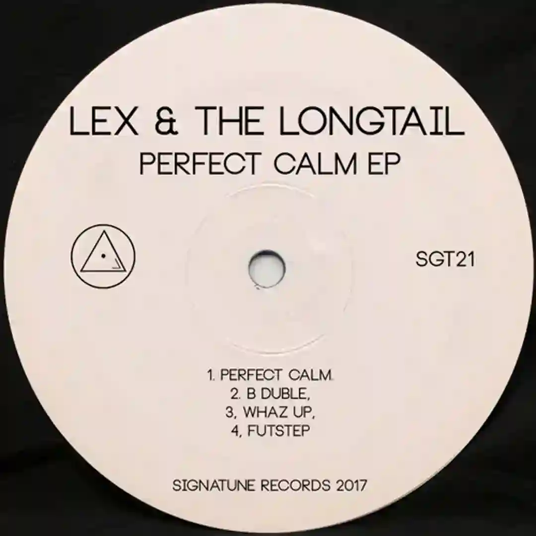 Perfect Calm (Original Mix) cover