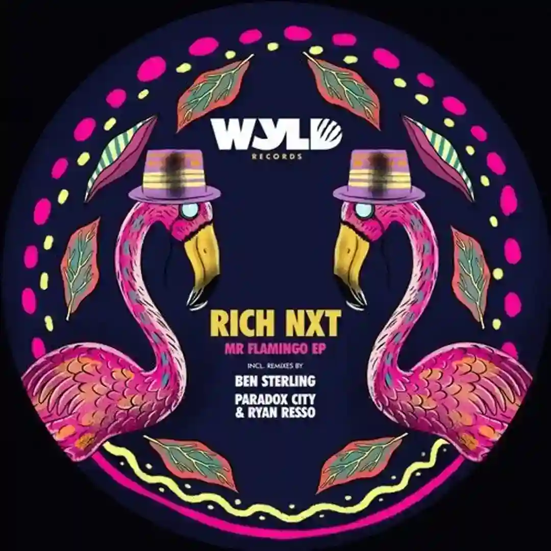 Mr Flamingo cover