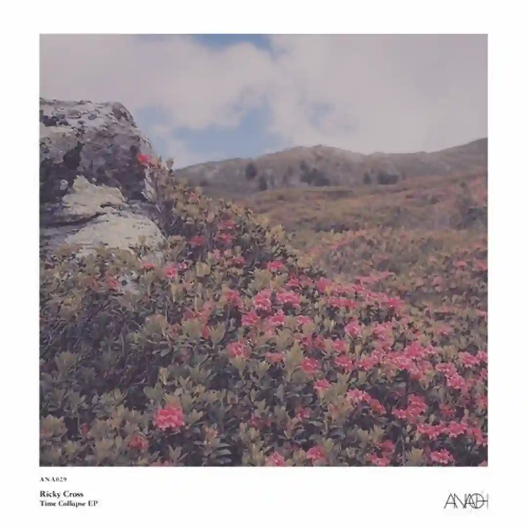 Ritual (Original Mix) cover