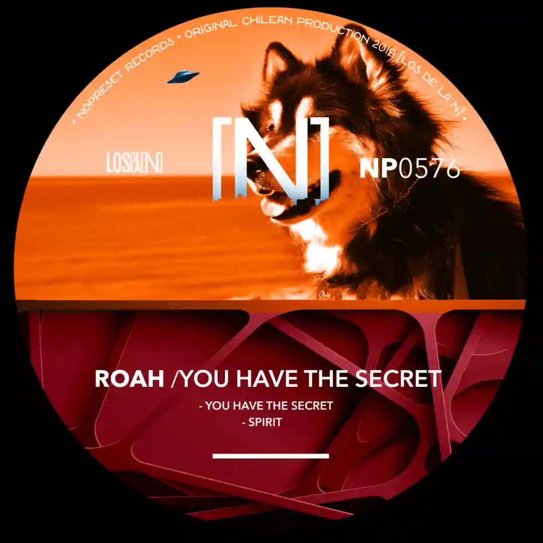 You Have The Secret (Original Mix) cover