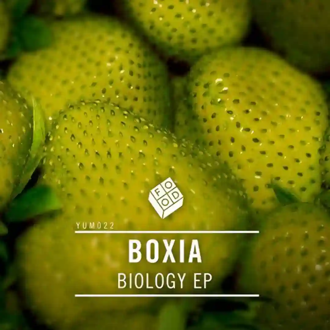 Progress (Original Mix) cover