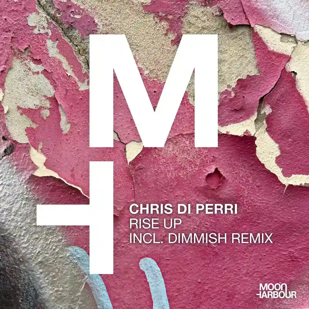 Rise Up (DIMMISH Extended Remix) cover