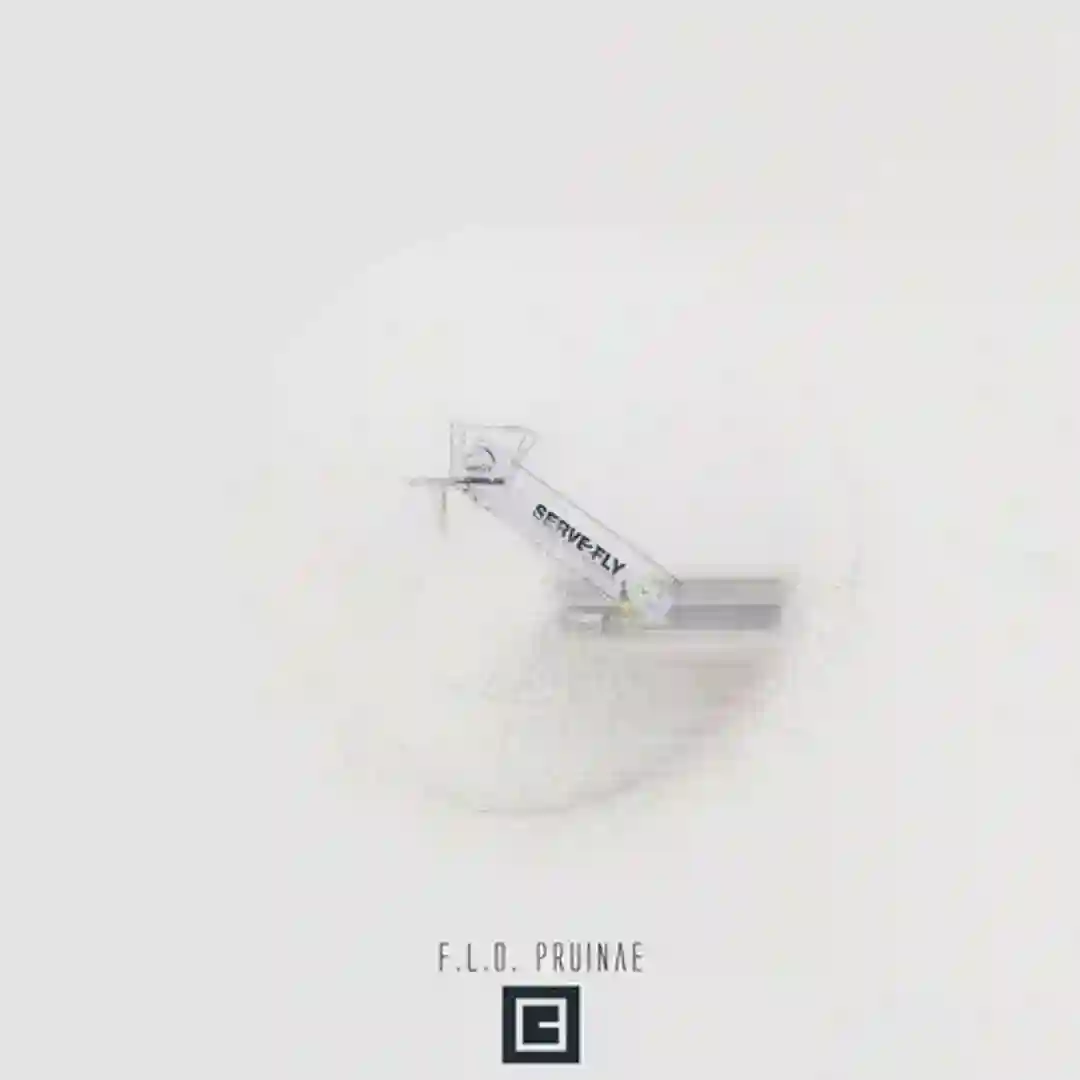 Pruinae cover