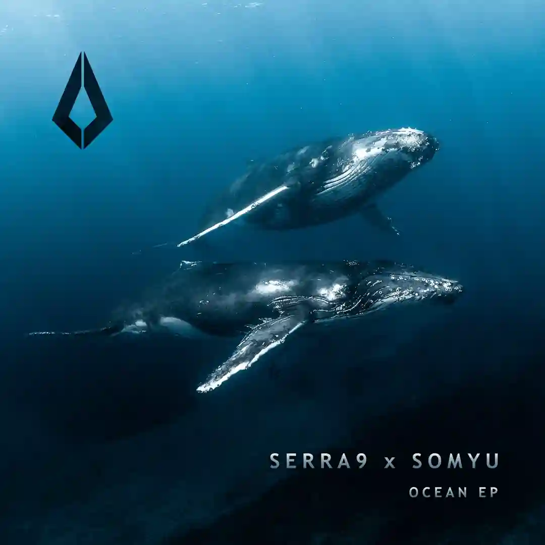 Ocean (Extended Mix) cover