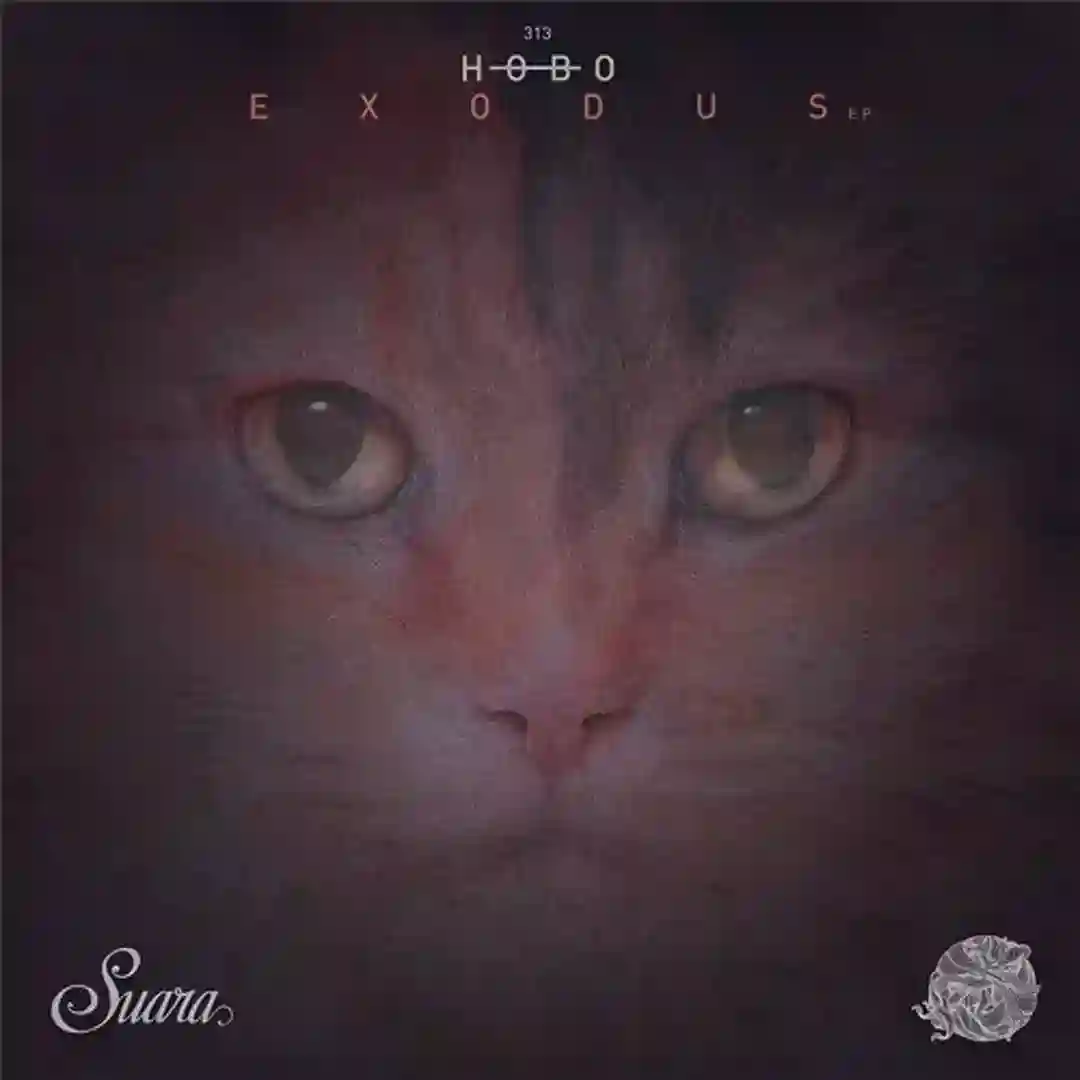 Seventh Sea (Original Mix) cover