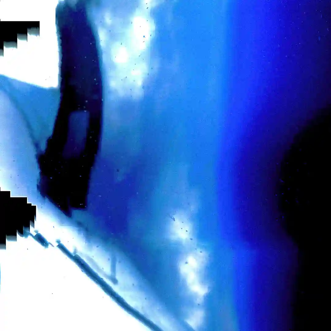 The Purist (Original Mix) cover