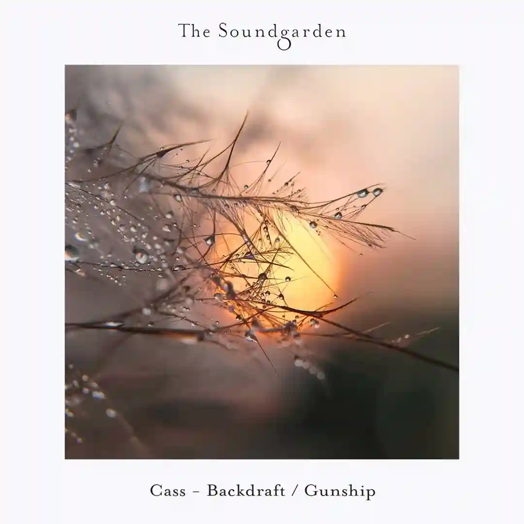 Backdraft (Cass Is Broken Extended Mix) cover