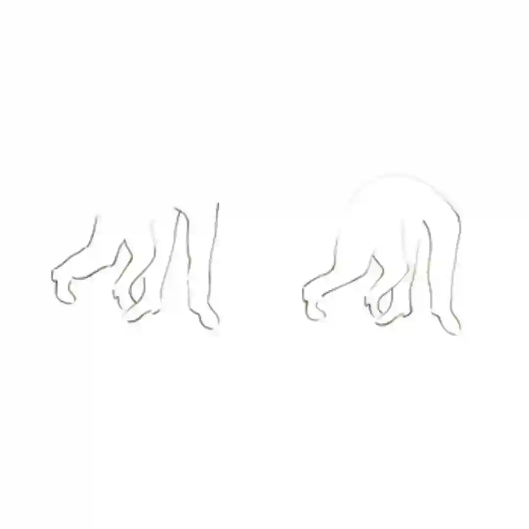 Face A/B cover
