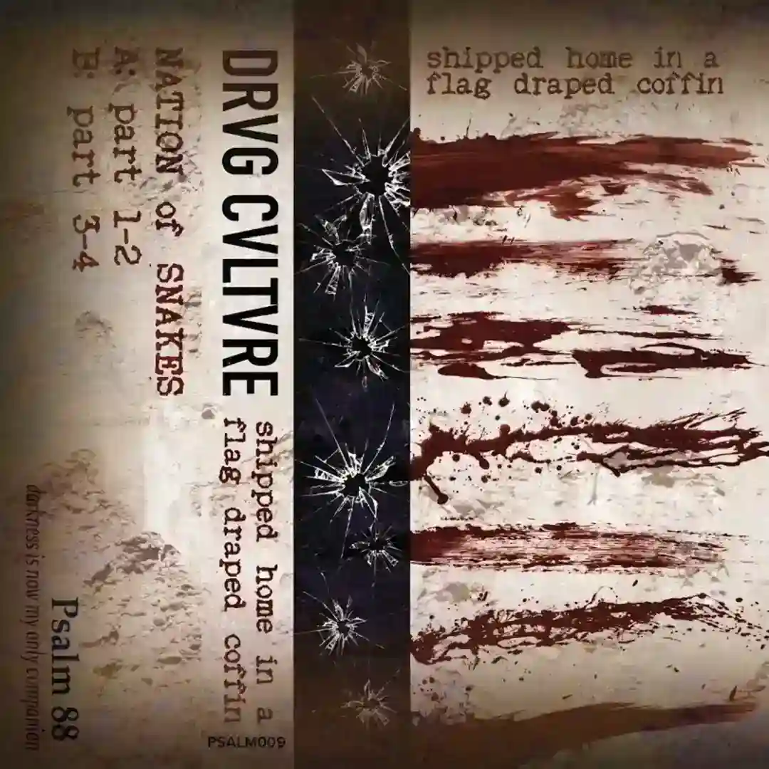 NATION of SNAKES 1 cover