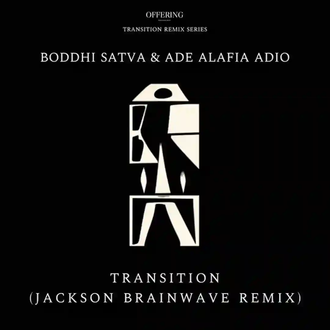 Transition (Jackson Brainwave Remix) cover